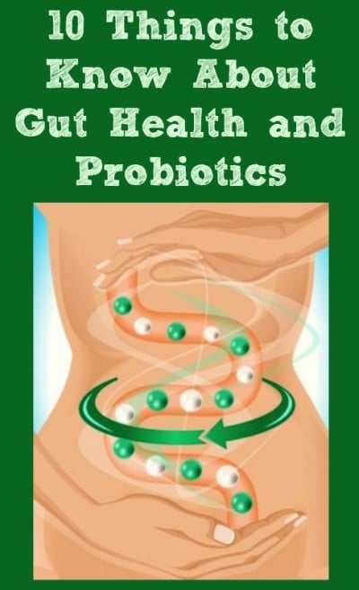 10 Things To Know About Your Gut Health And Probiotics