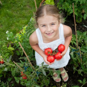 How to grow vegetables - when you don't have time or space for a garden. Herbs | Real food | Healthy diet