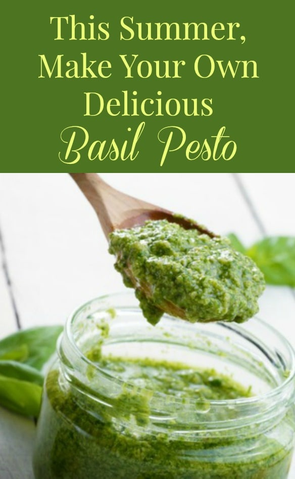 This summer, grow basil and make pesto - one of the most fabulous and delicious sauces ever invented! Serve it on pasta or pizza or use it to make a delicious salad dressing.
