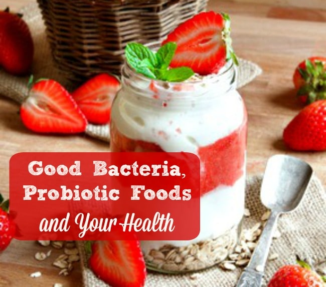 10 Things to Know About Probiotic Foods and Your Health - Your gut health and the probiotics in your diet can make a tremendous difference in your health. Here are 10 things to know and do when it comes to your diet, probiotcs and health. Healthy diet | Healthy living | Good bacteria