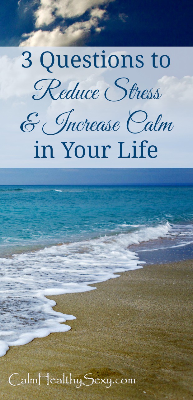 3 questions that will help you reduce stress and increase calm in your life - These questions can help your slow down, reduce stress, and live a healthier and happier life. Stress reduction | Peace and calm | Happy family life