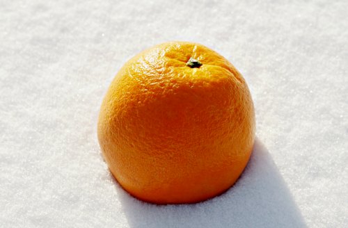 Orange in snow - winter self-care tips for women